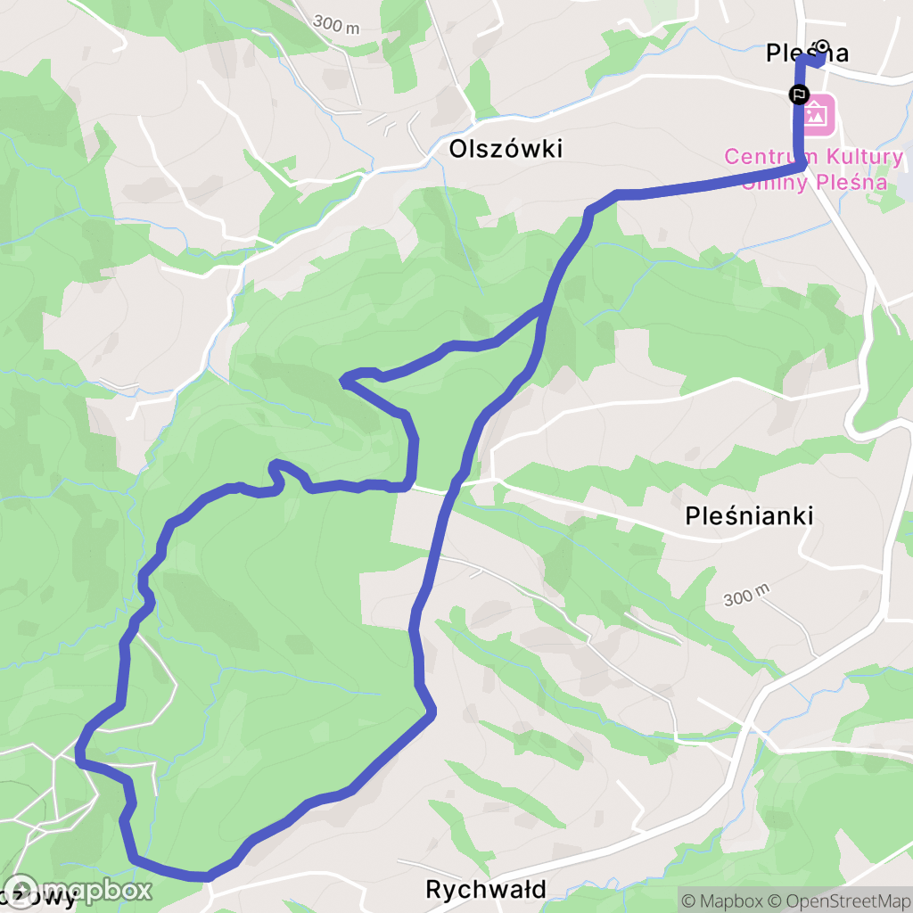 Pleśna: mapa trasy - Poland