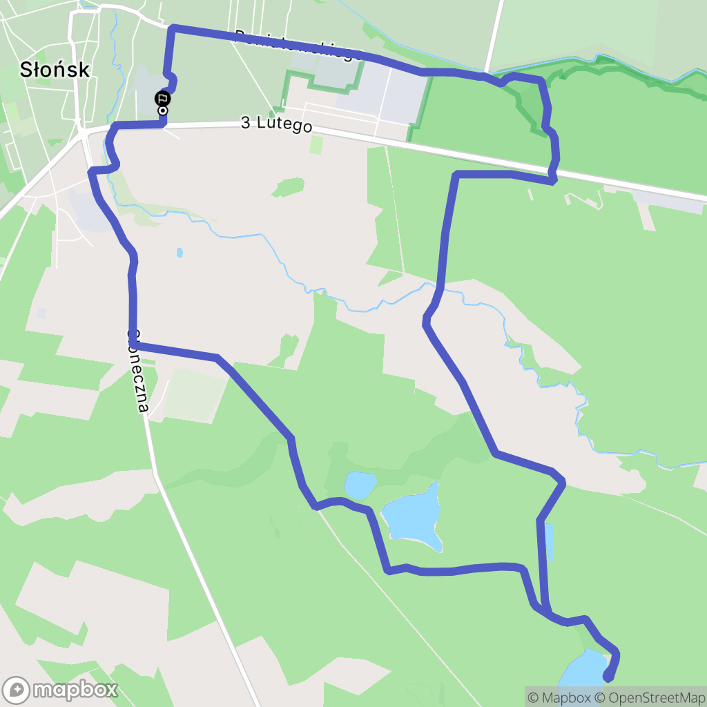 Słońsk: mapa trasy - Poland