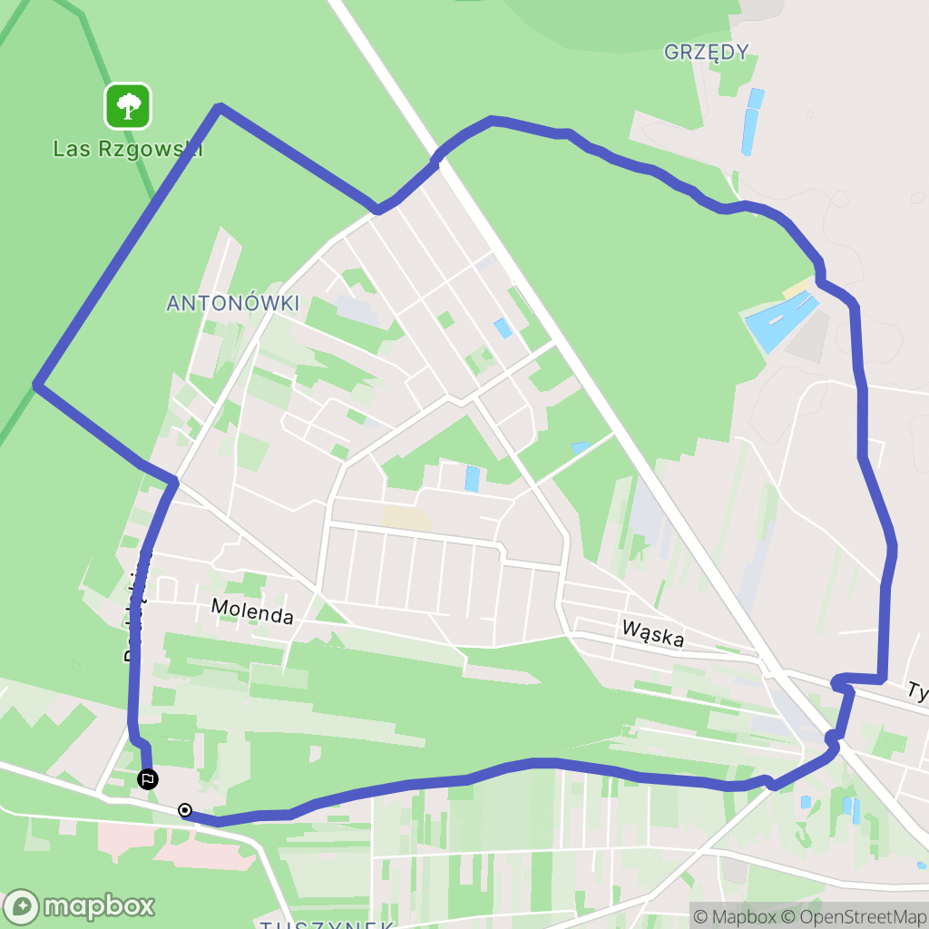 Tuszyn: mapa trasy - Poland