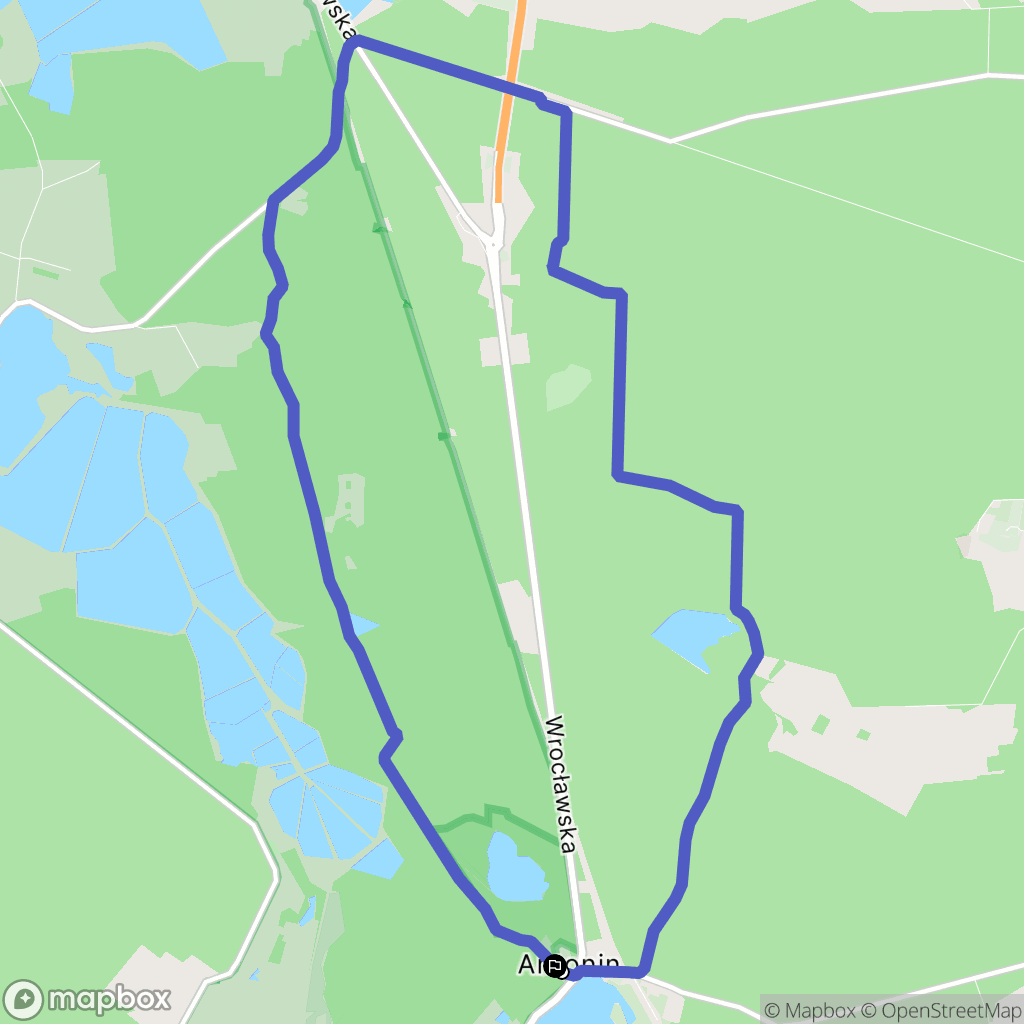 Antonin: mapa trasy - Poland