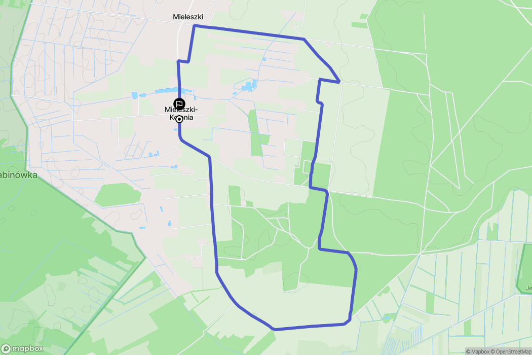 Mieleszki-Kolonia: mapa trasy - Poland