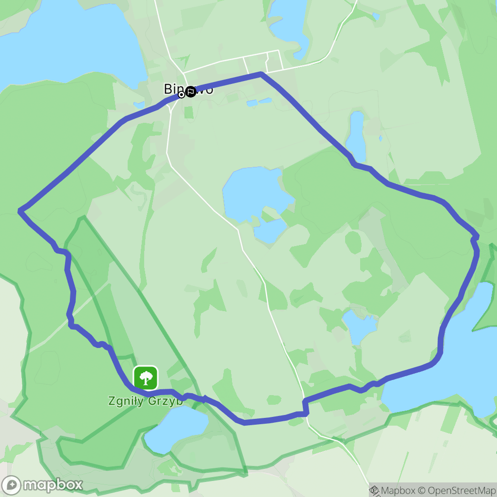 Binowo: mapa trasy - Poland