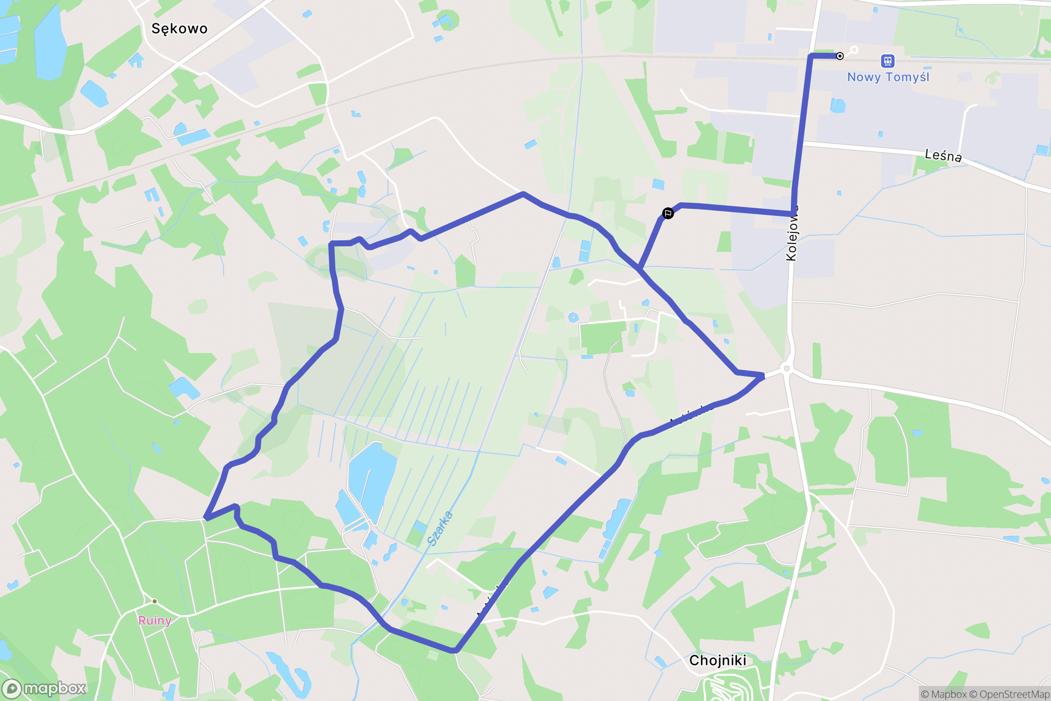 Nowy Tomyśl: mapa trasy - Poland