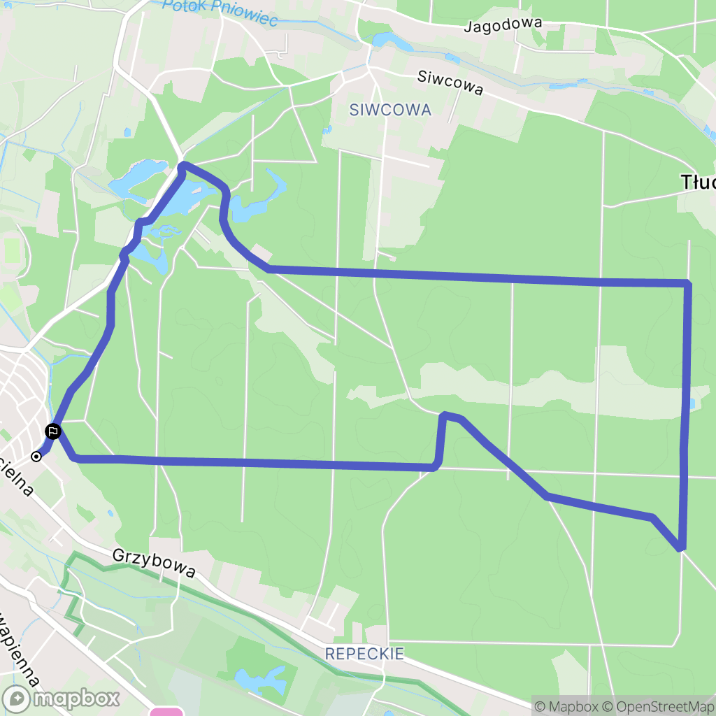 Tarnowskie Góry: mapa trasy - Poland