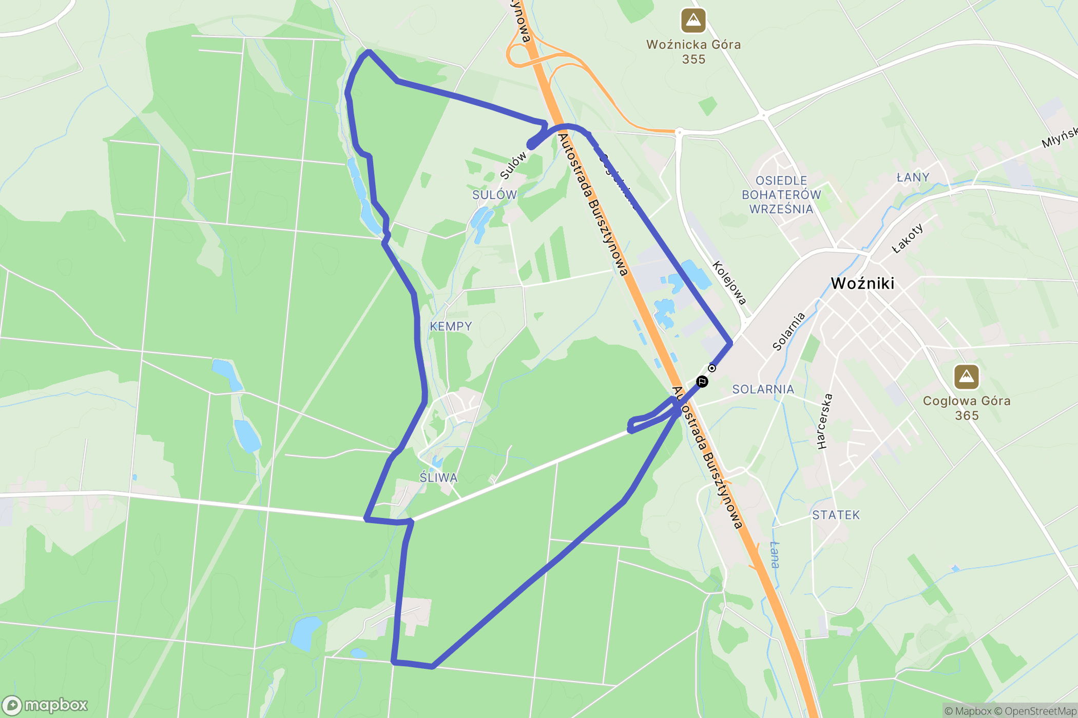 Woźniki: mapa trasy - Poland