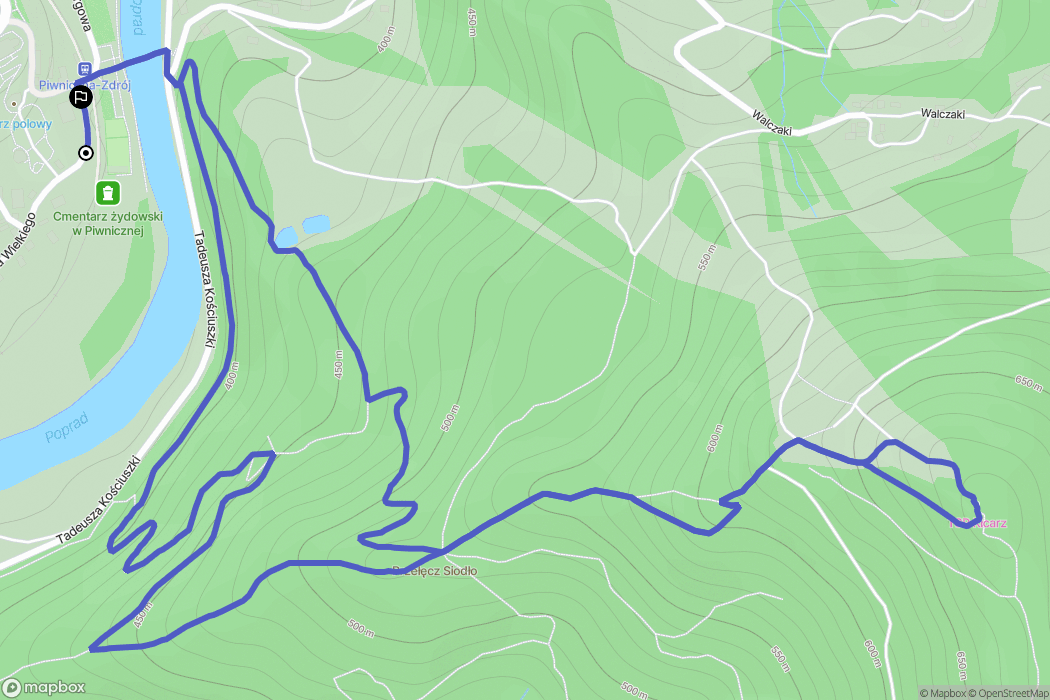 Piwniczna-Zdrój: mapa trasy - Poland