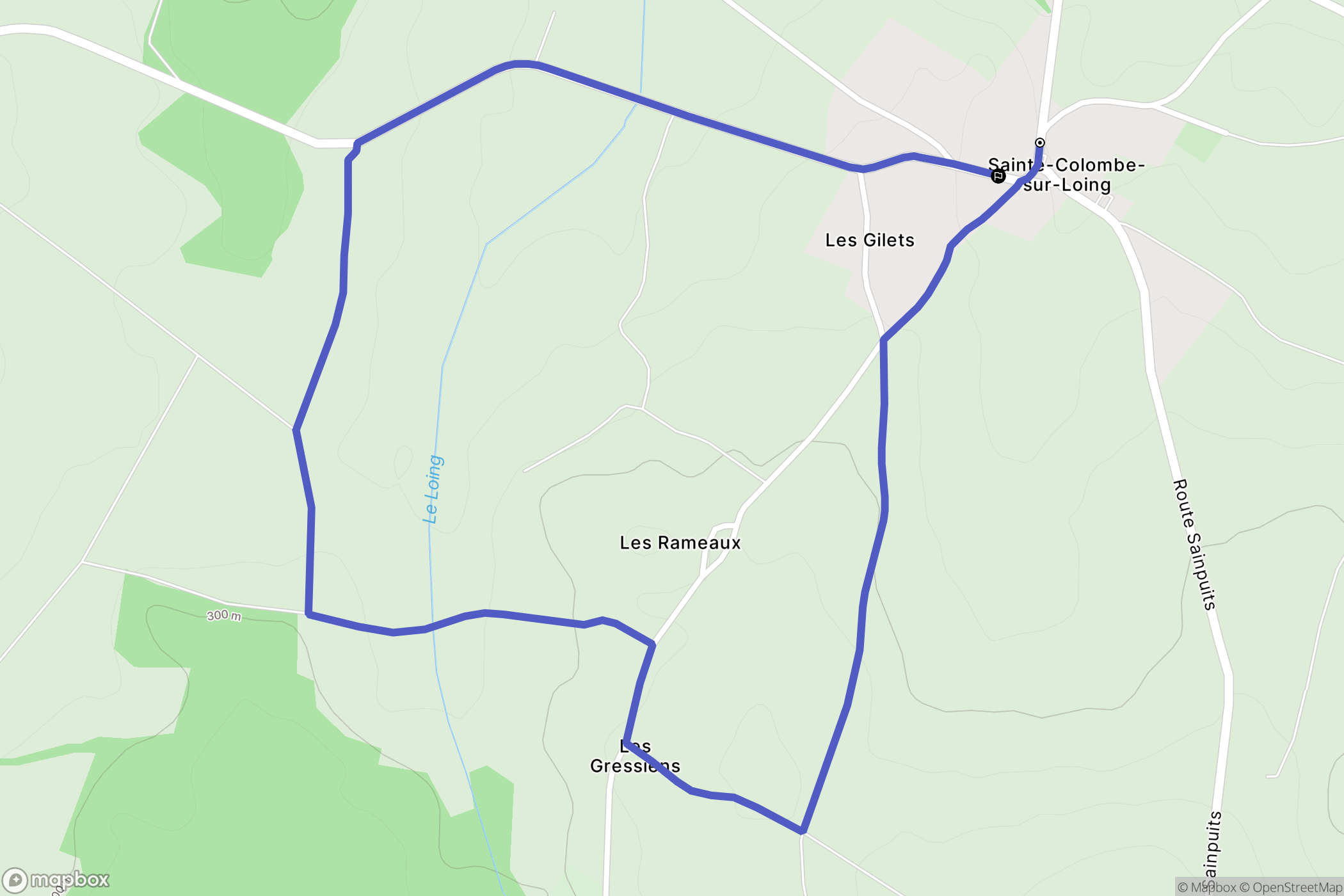 Treigny-Perreuse-Sainte-Colombe : carte du parcours de randonnée - France