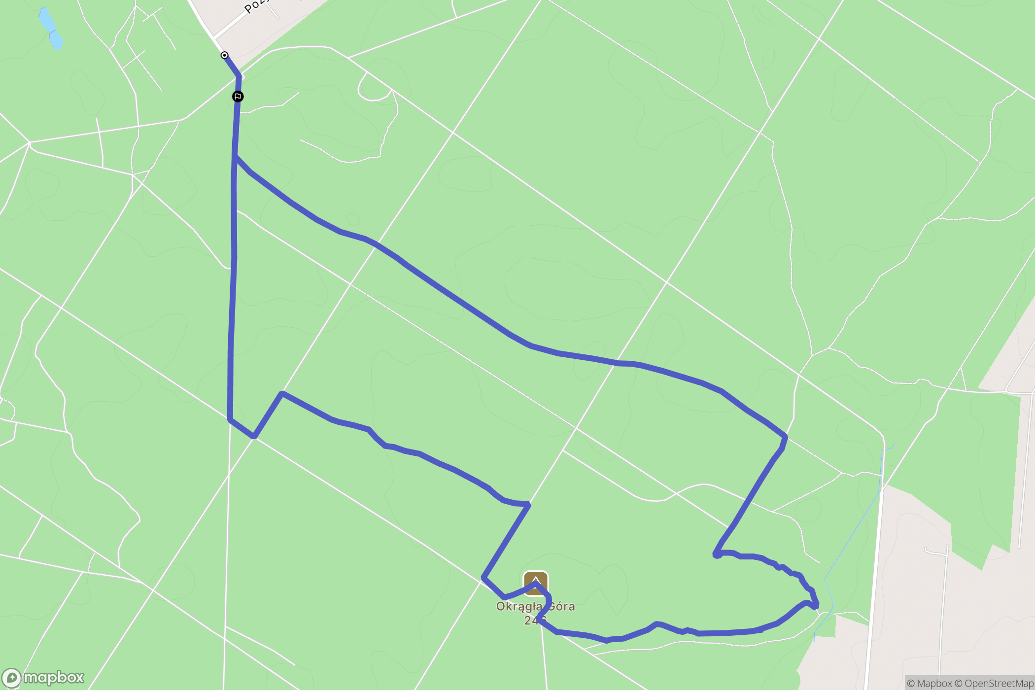 Rydzyny: mapa trasy - Poland