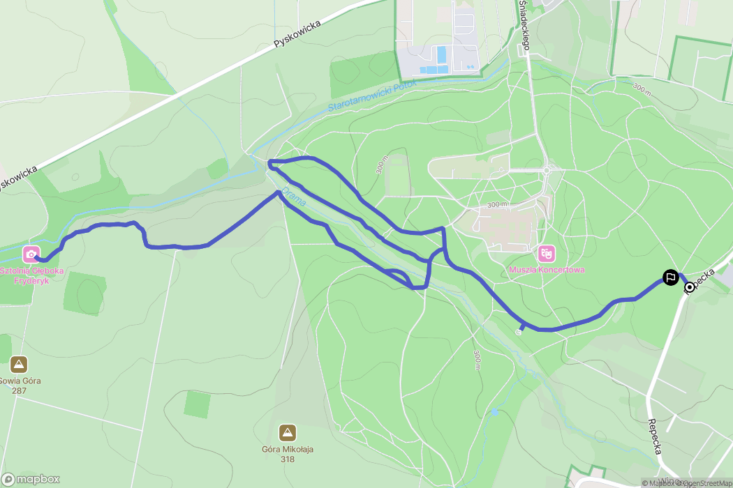 Tarnowskie Góry: mapa trasy - Poland
