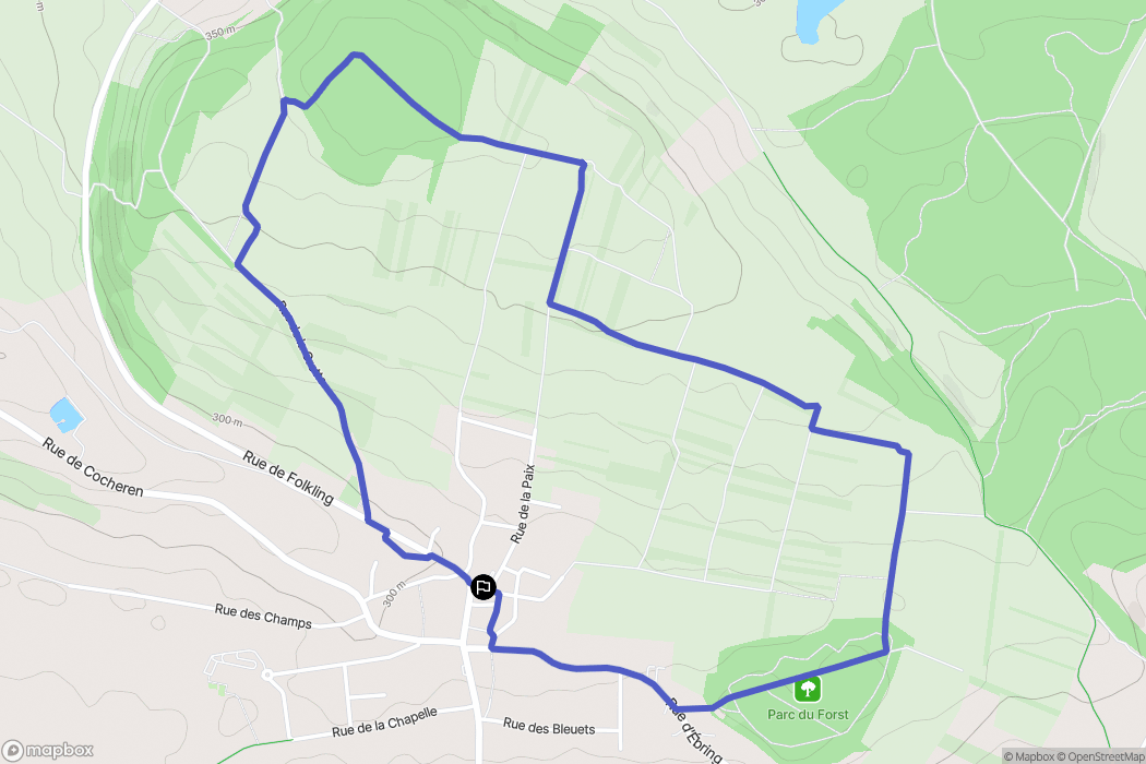 Théding : carte du parcours de randonnée - France