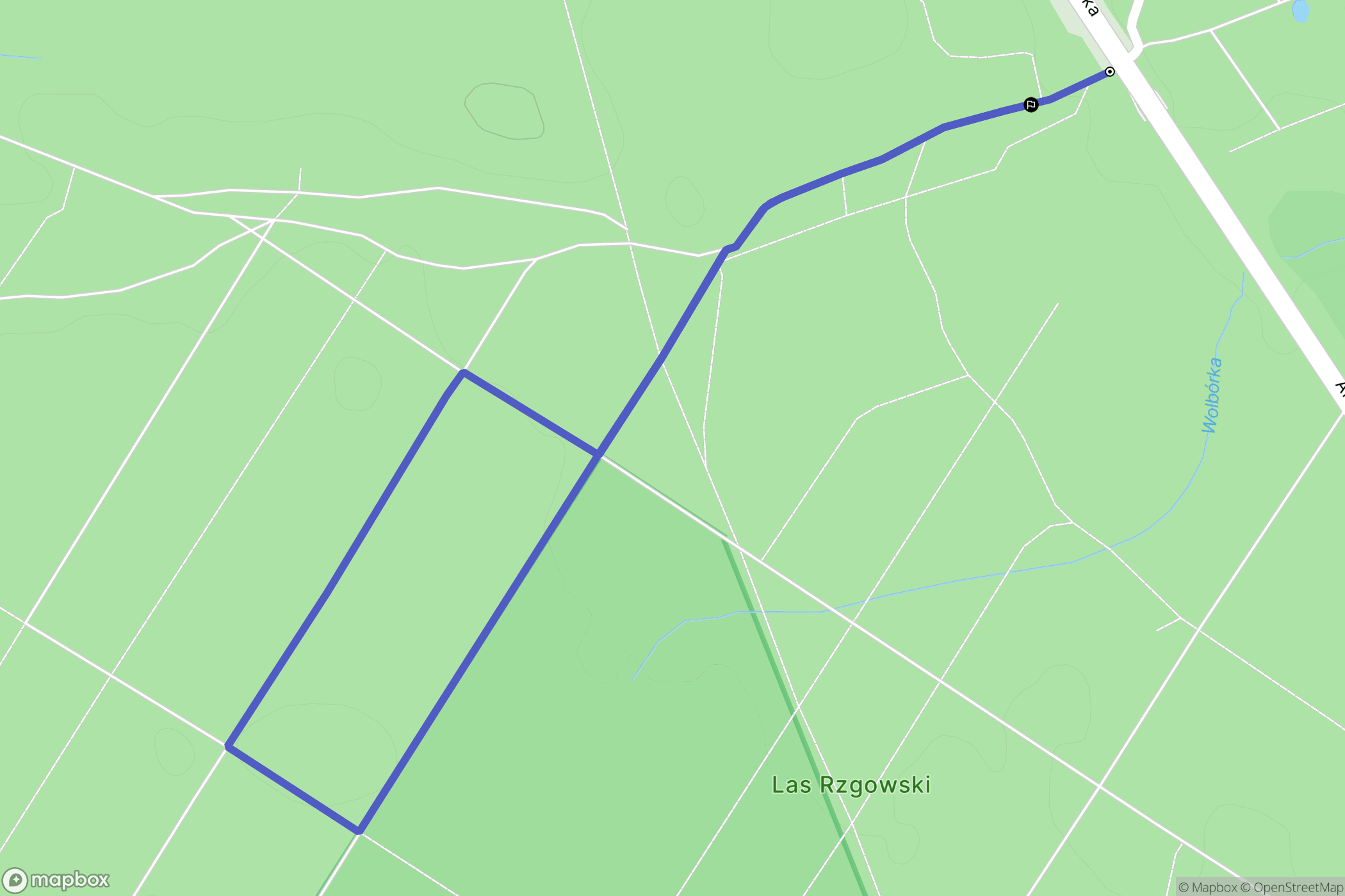 Rzgów: mapa trasy - Poland