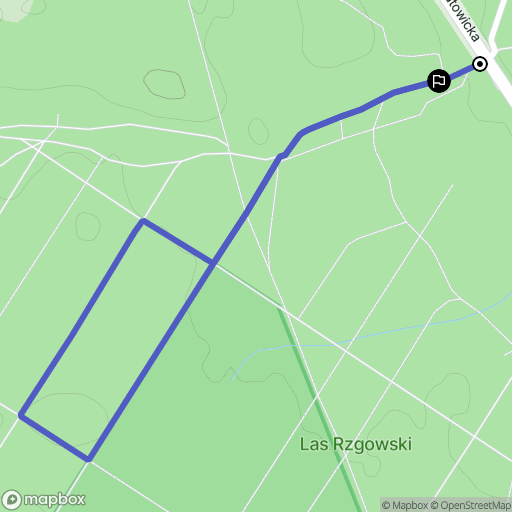 Rzgów: mapa trasy - Poland