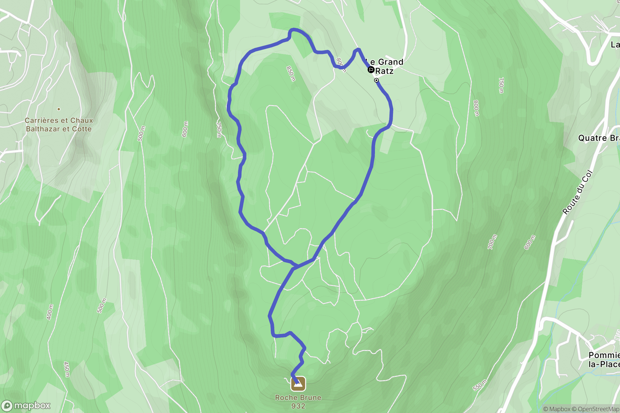 La Buisse : carte du parcours de randonnée - France