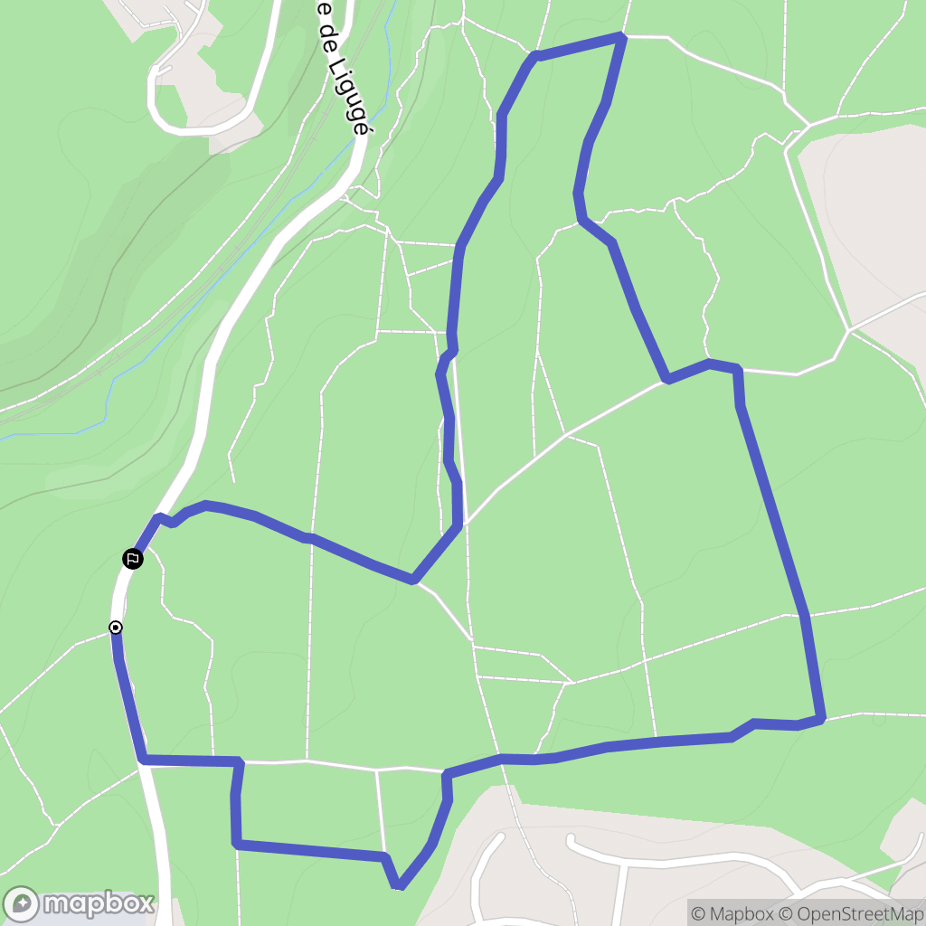 Ligugé : carte du parcours de randonnée - France