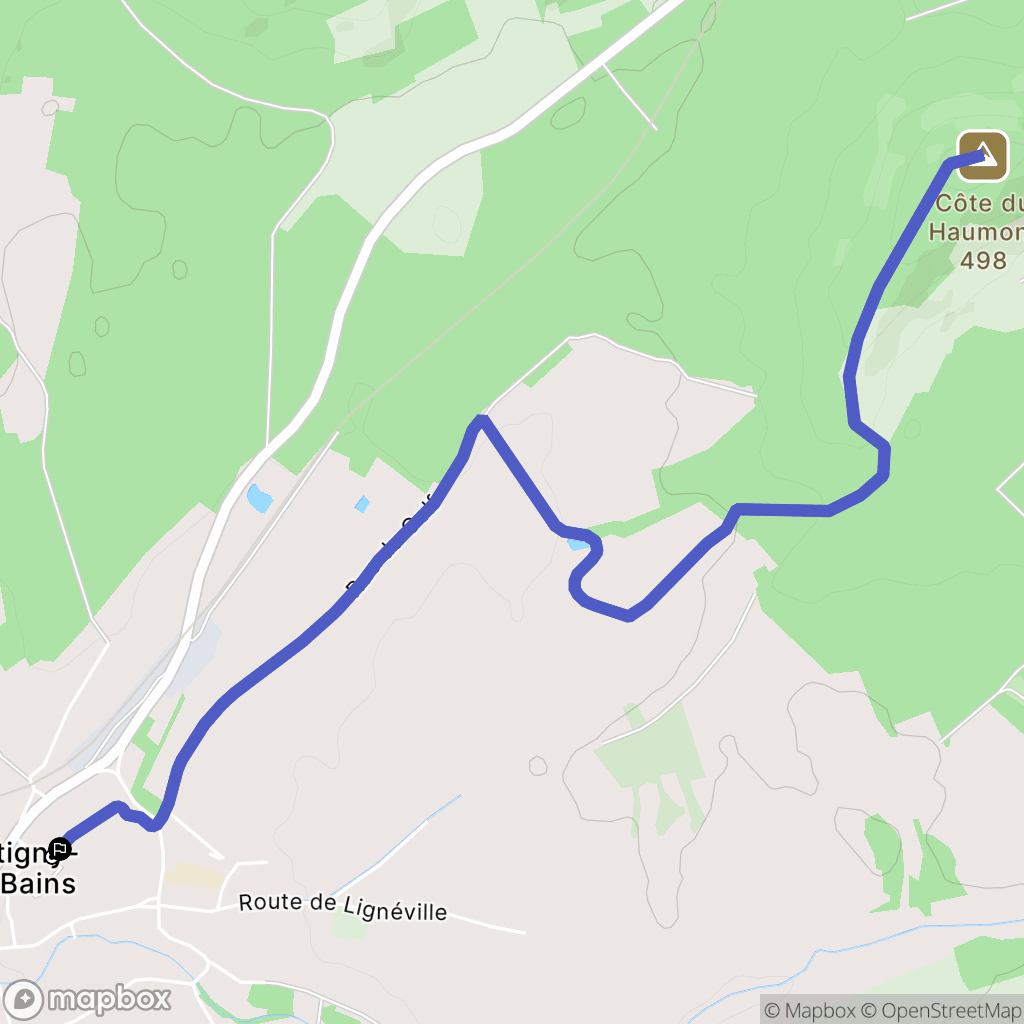 Martigny-les-Bains : carte du parcours de randonnée - France