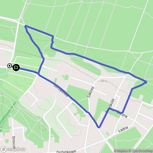 Toruń: mapa trasy - Poland
