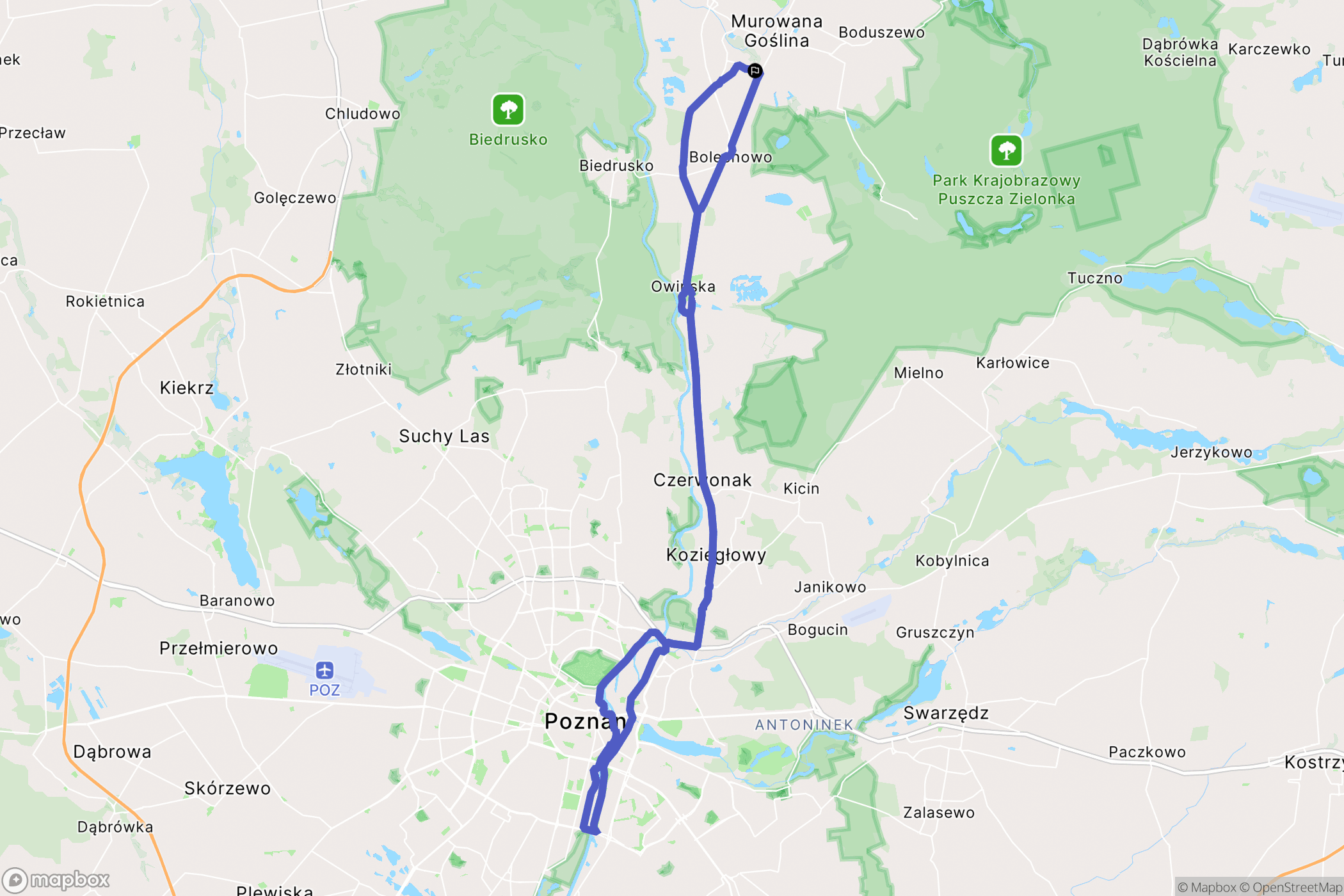 Murowana Goślina: mapa trasy - Poland