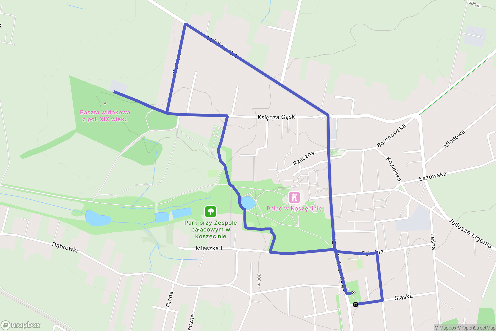 Koszęcin: mapa trasy - Poland