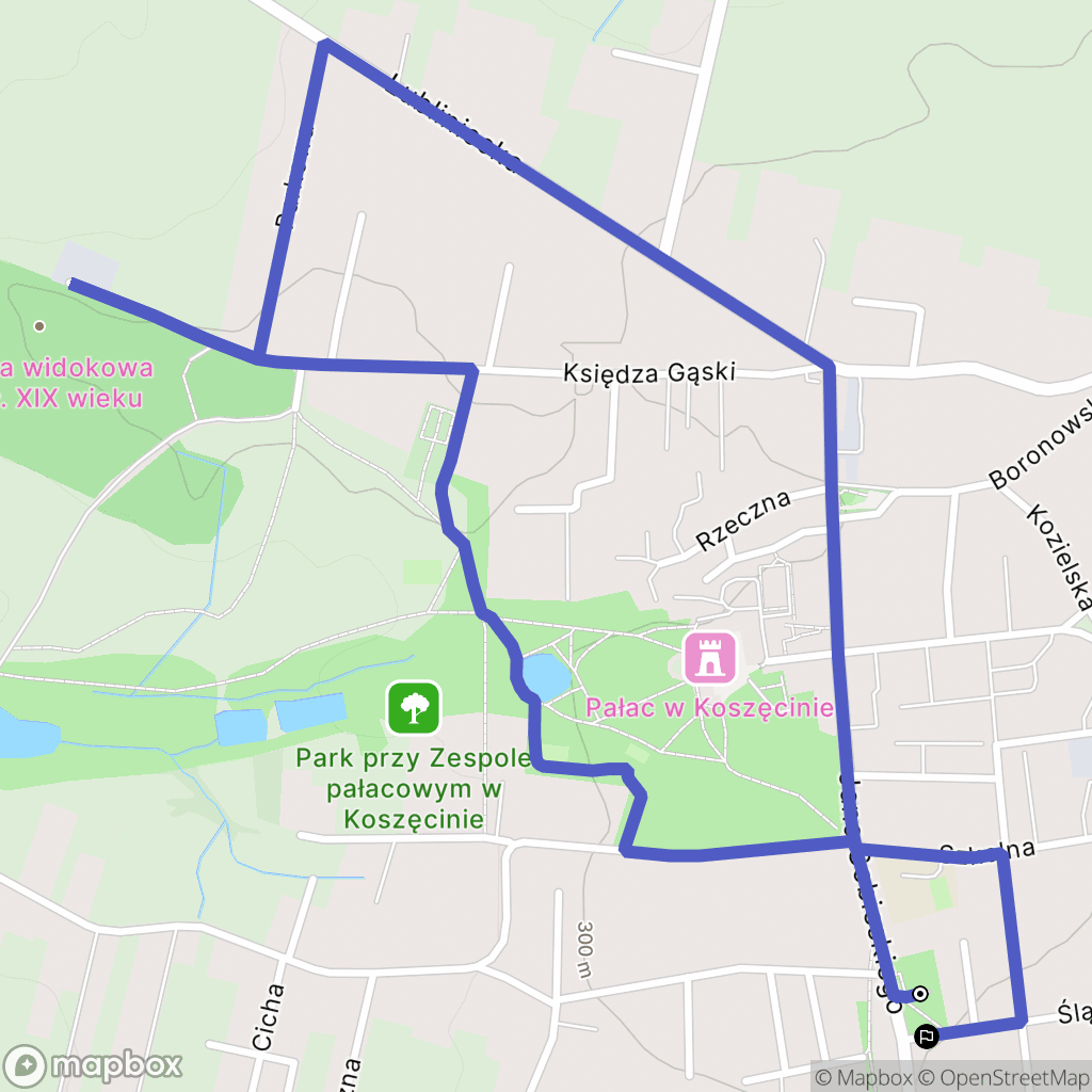 Koszęcin: mapa trasy - Poland