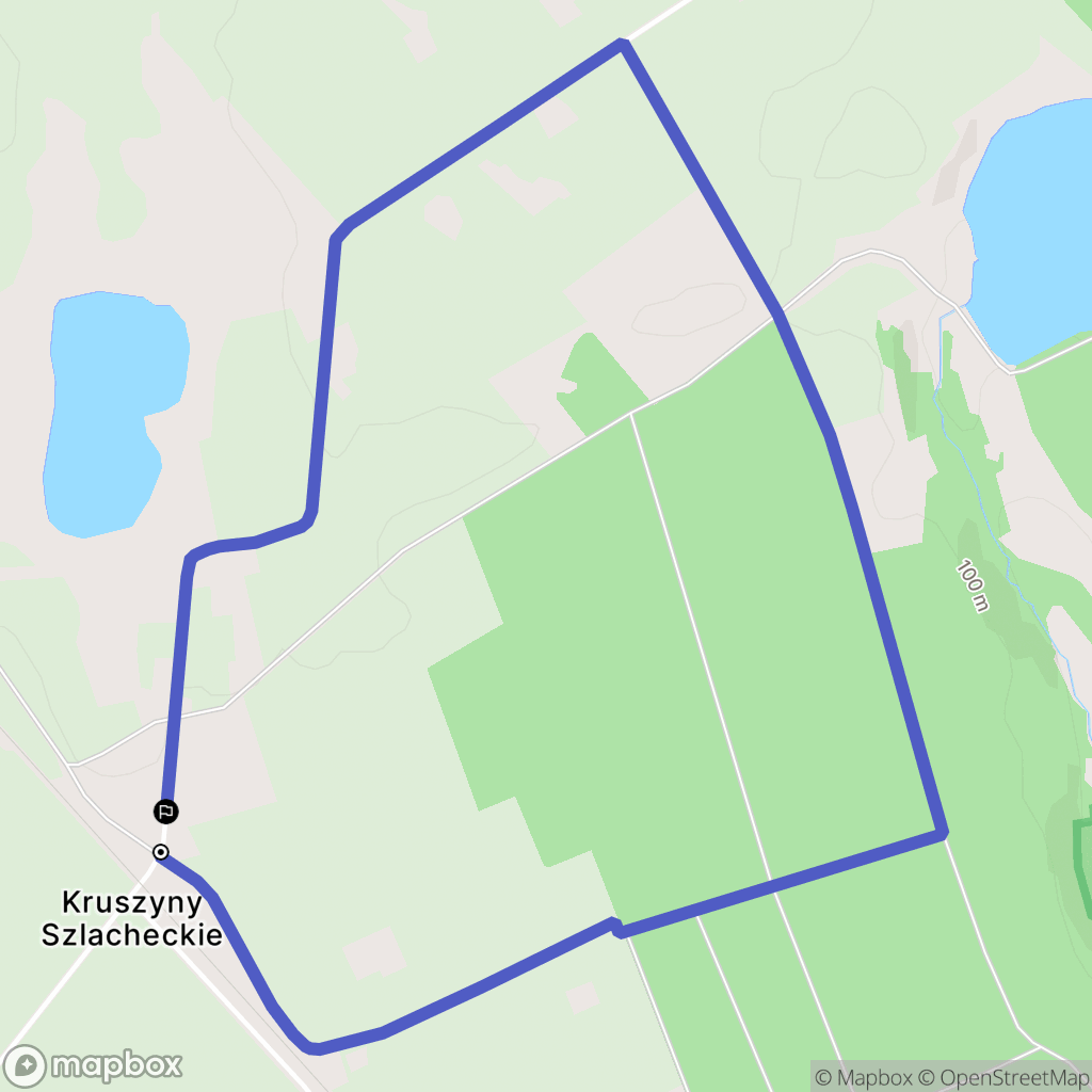 Kruszyny Szlacheckie: mapa trasy - Poland