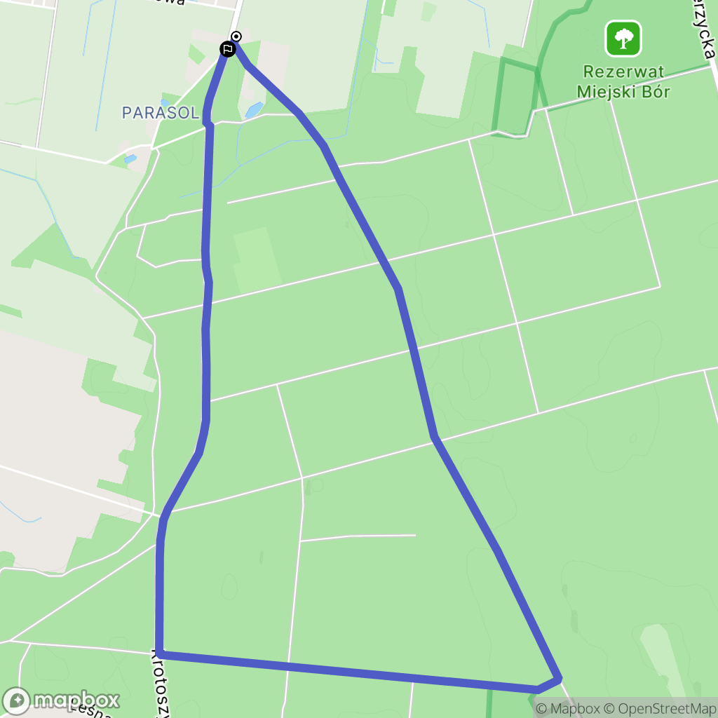 Krotoszyn: mapa trasy - Poland