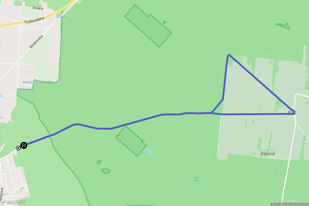 Piotrków Trybunalski: mapa trasy - Poland