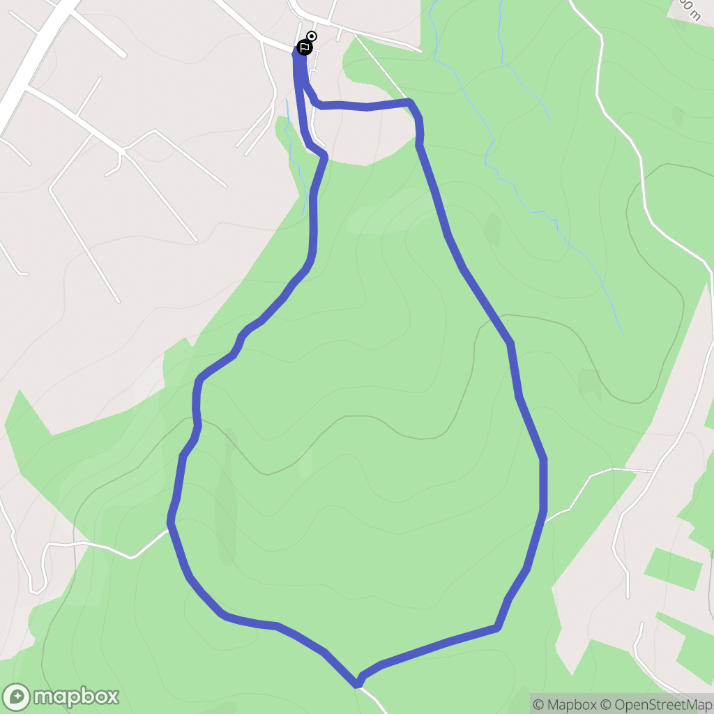 Latoszyn: mapa trasy - Poland