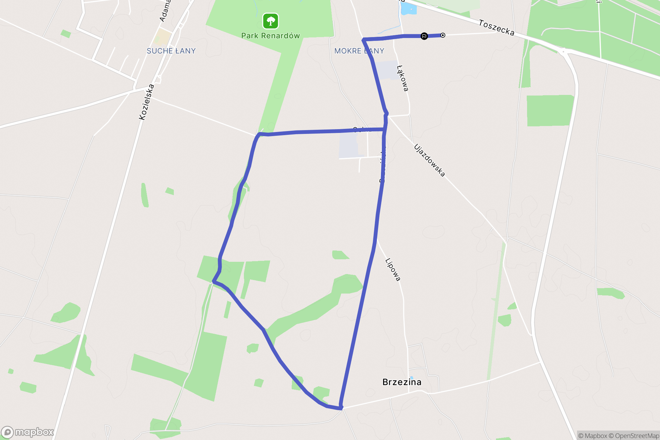 Strzelce Opolskie: mapa trasy - Poland