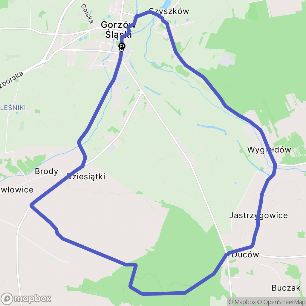 Gorzów Śląski: mapa trasy - Poland