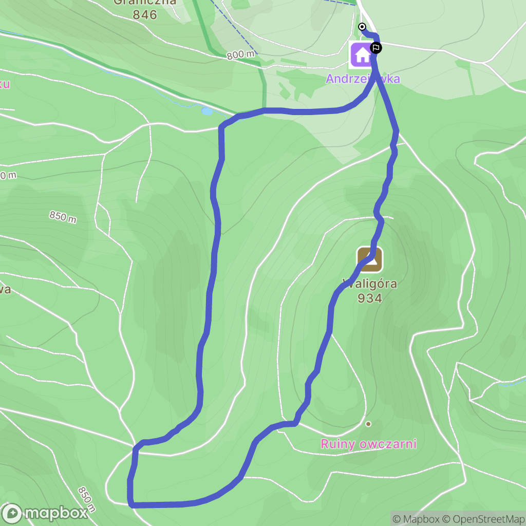 Rybnica Leśna: mapa trasy - Poland