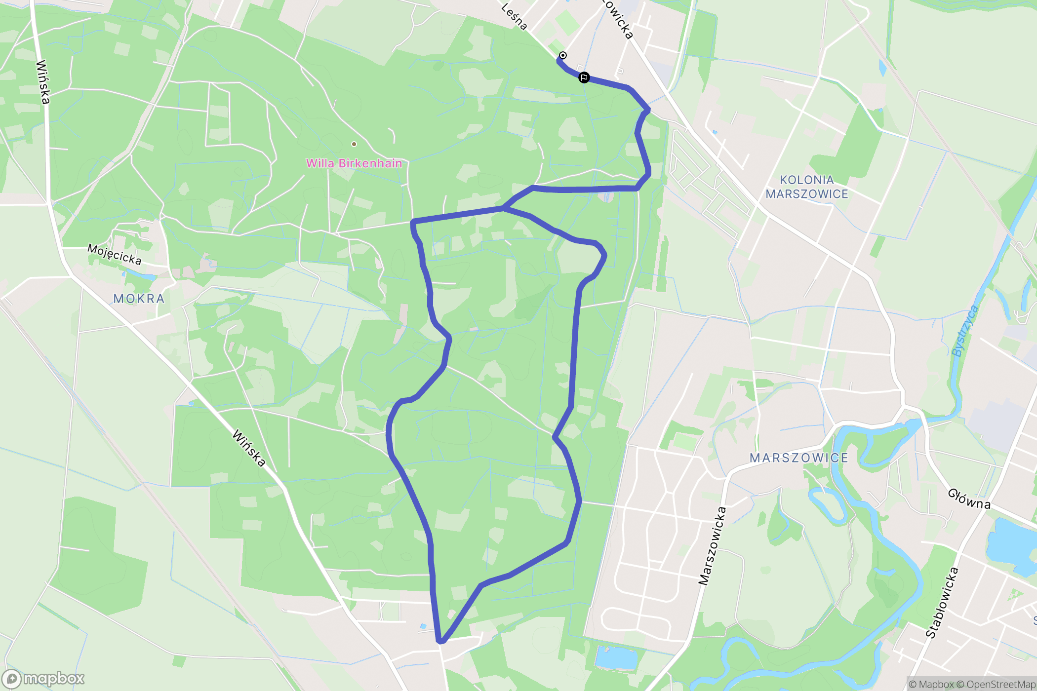 Wilkszyn: mapa trasy - Poland