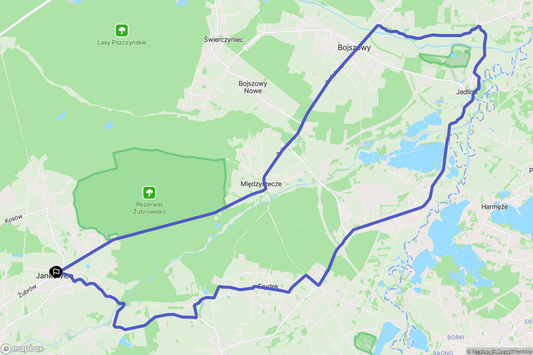 Jankowice: mapa trasy - Poland