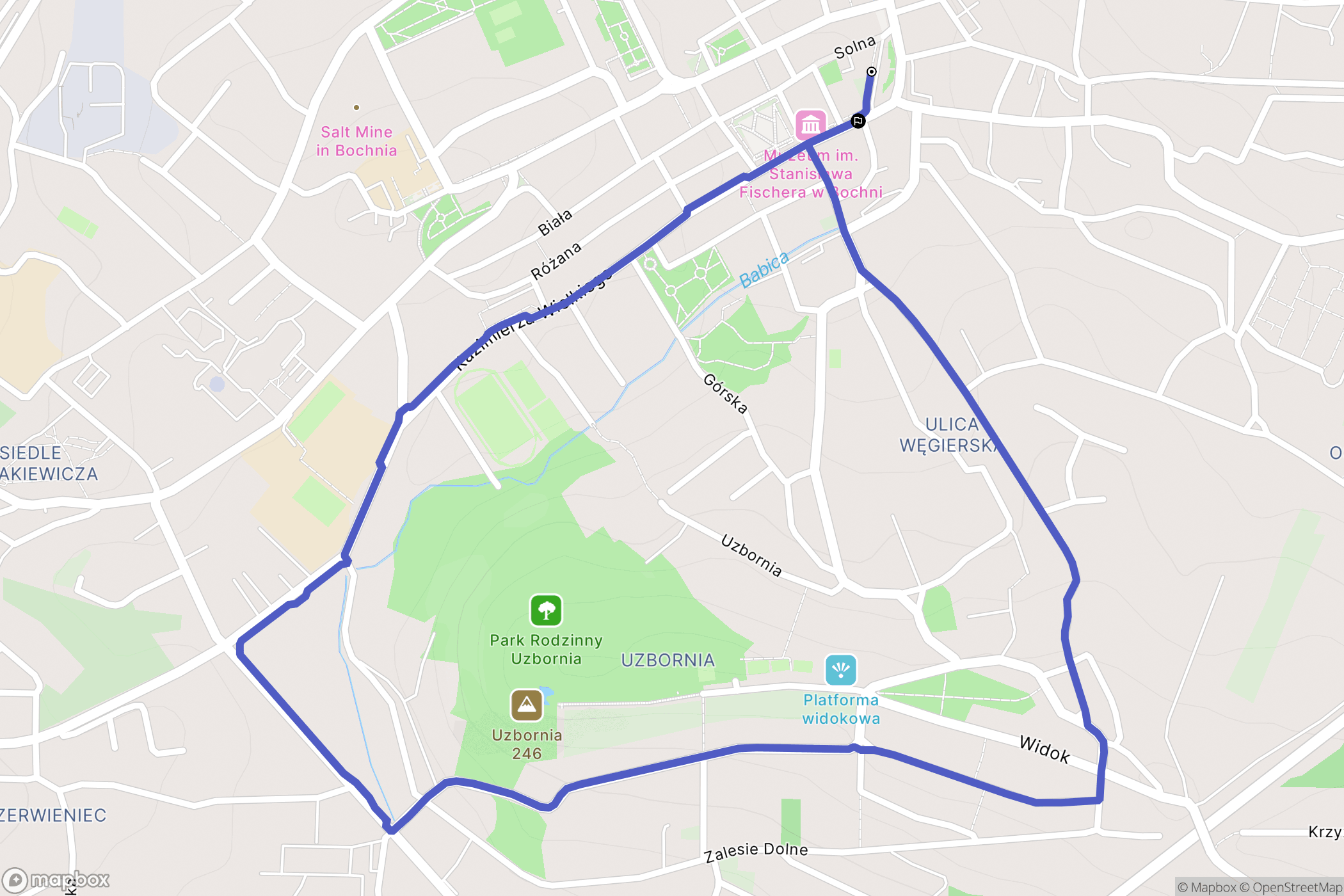 Bochnia: mapa trasy - Poland