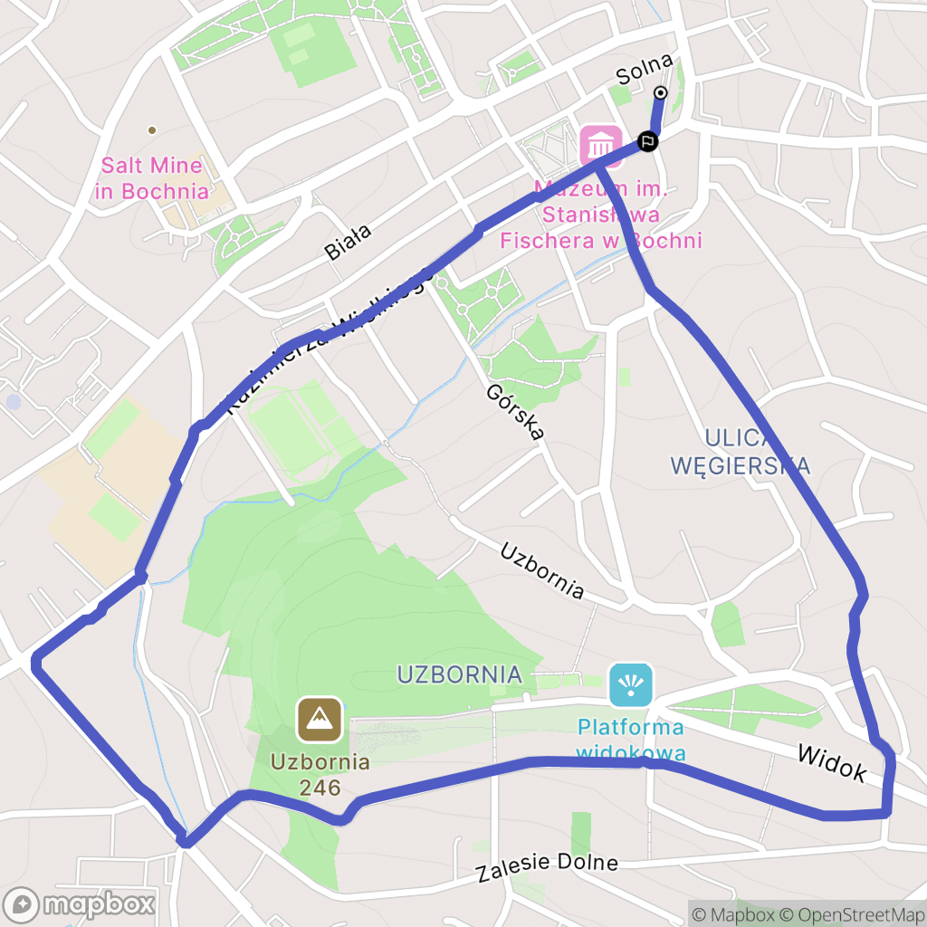 Bochnia: mapa trasy - Poland