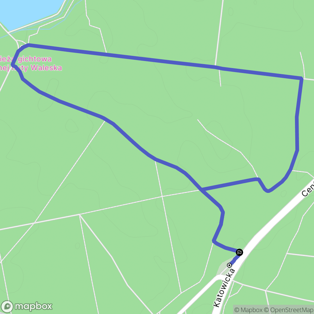 Żory: mapa trasy - Poland