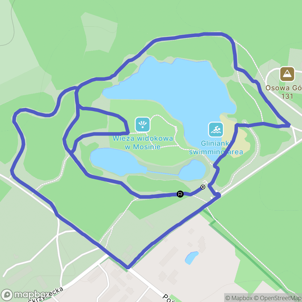 Mosina: mapa trasy - Poland