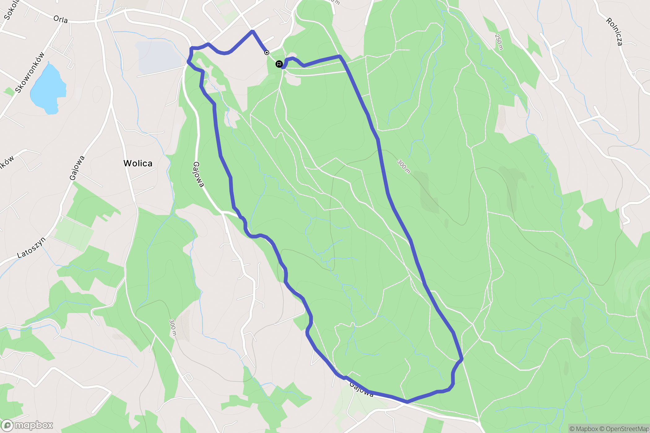 Dębica: mapa trasy - Poland