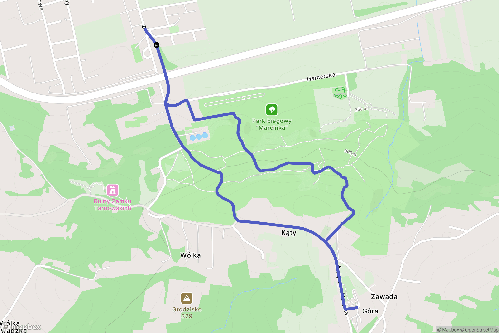 Tarnów: mapa trasy - Poland