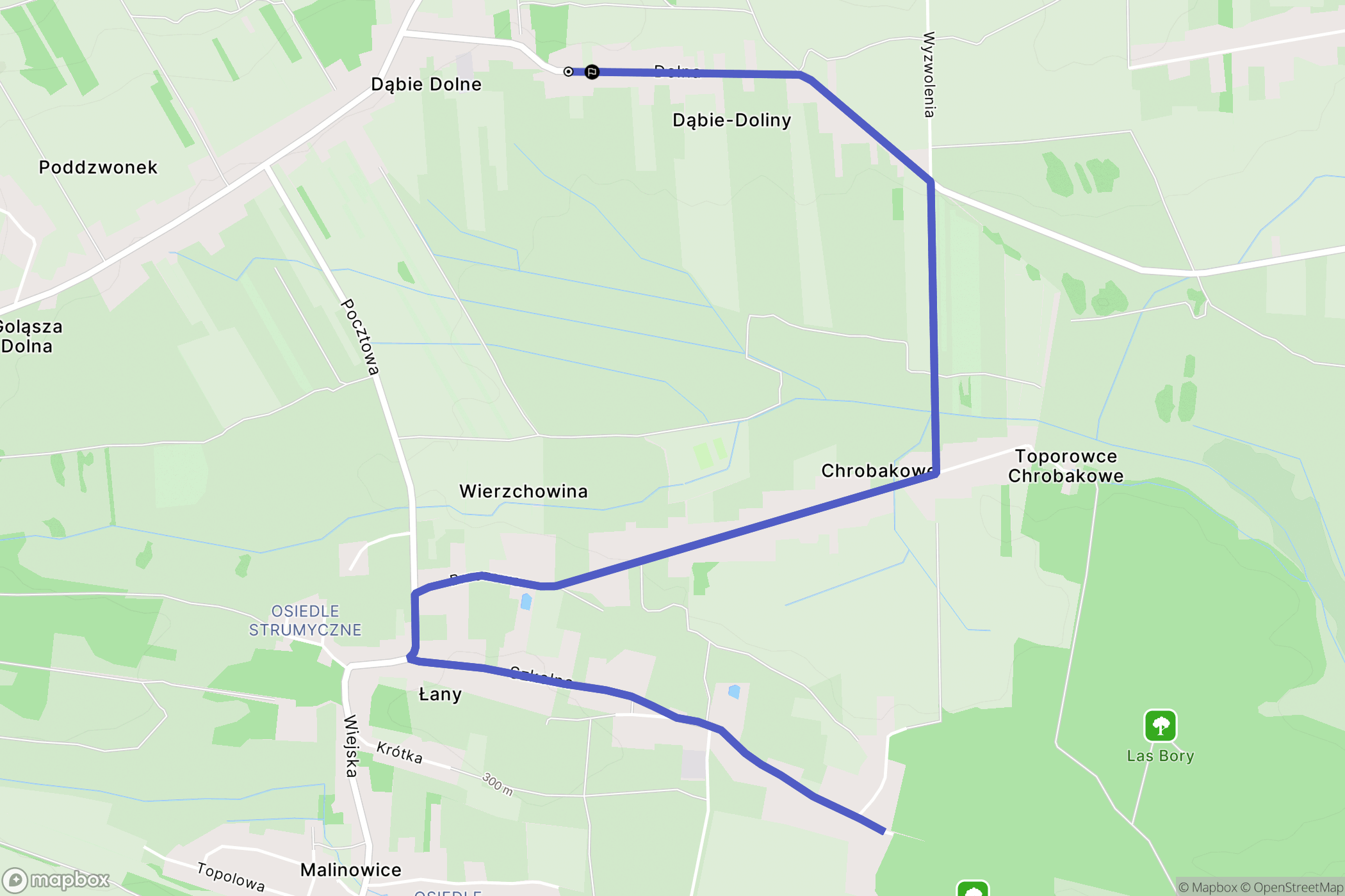 Dąbie: mapa trasy - Poland