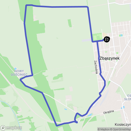 Zbąszynek: mapa trasy - Poland