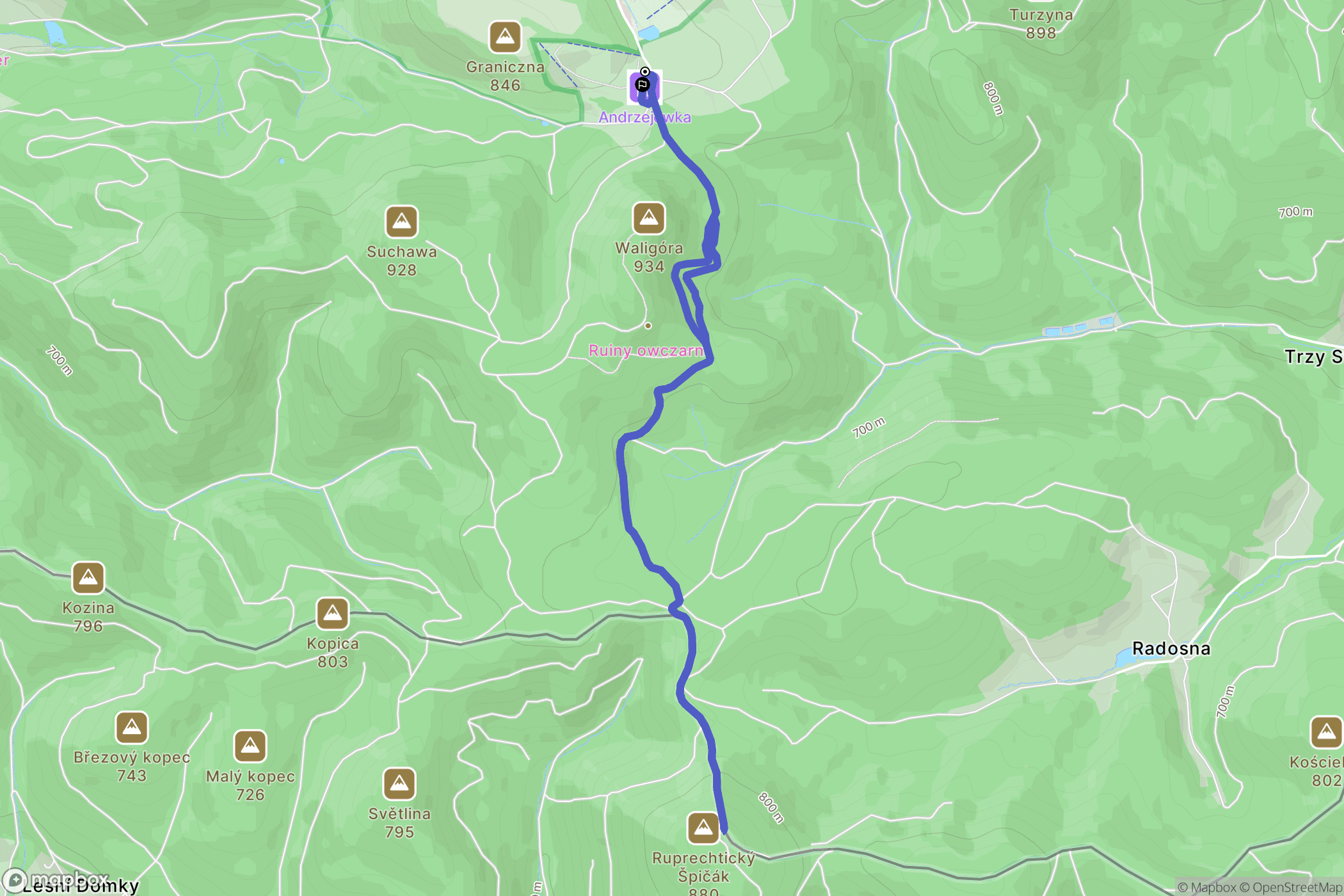 Rybnica Leśna: mapa trasy - Poland