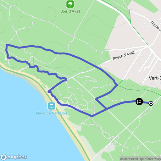 Dolus-d'Oléron : carte du parcours de randonnée - France