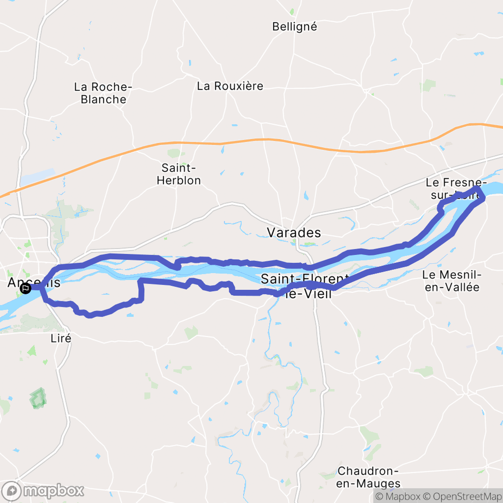 Ancenis-Saint-Géréon : carte du parcours de randonnée - France