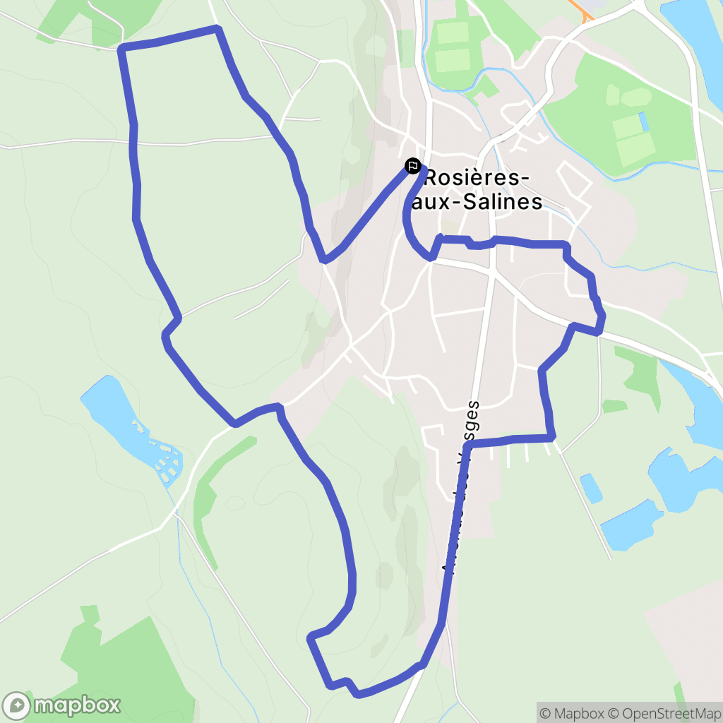 Rosières-aux-Salines : carte du parcours de randonnée - France