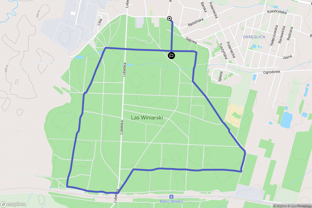 Kalisz: mapa trasy - Poland