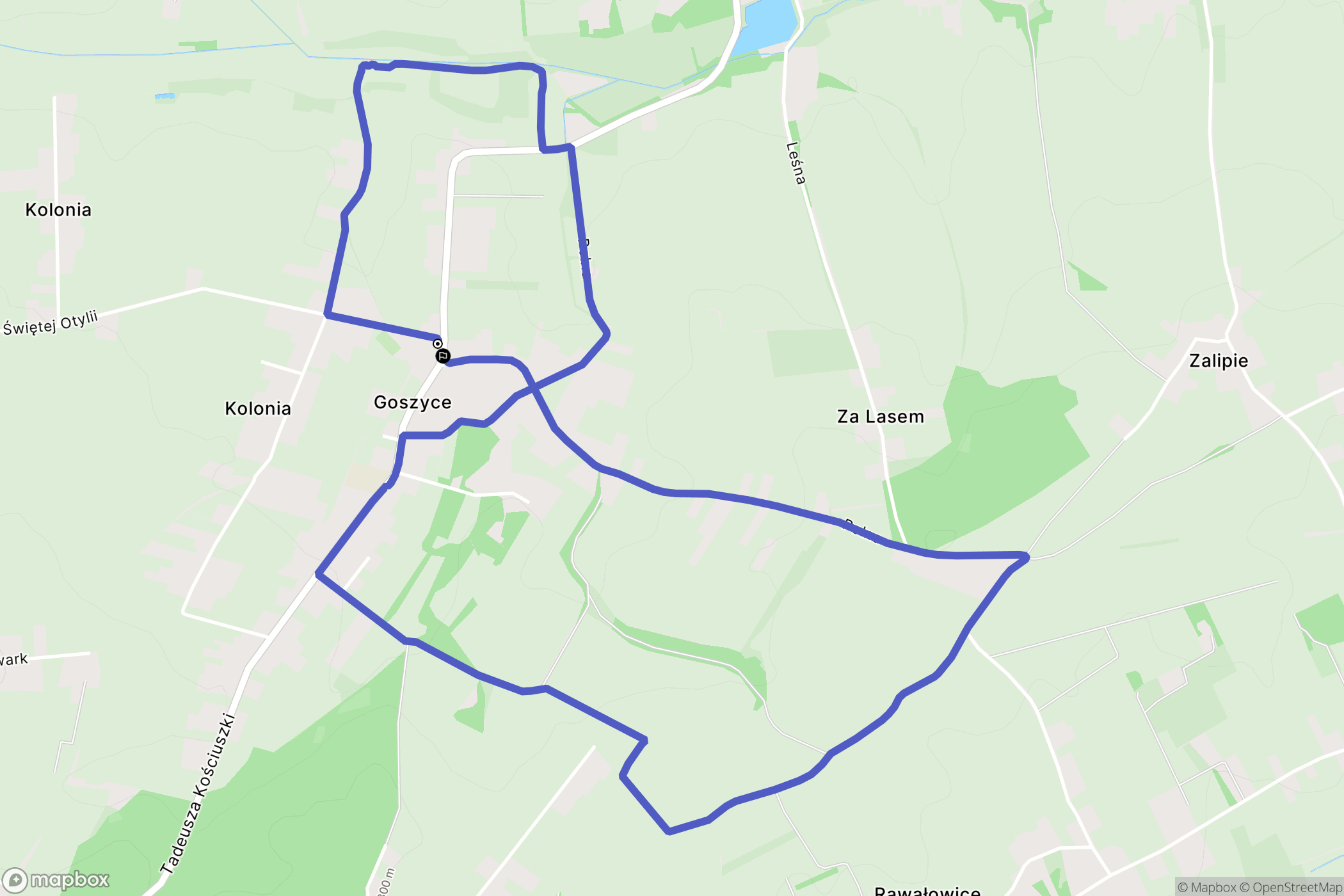 Goszyce: mapa trasy - Poland