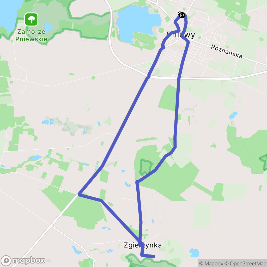 Pniewy: mapa trasy - Poland
