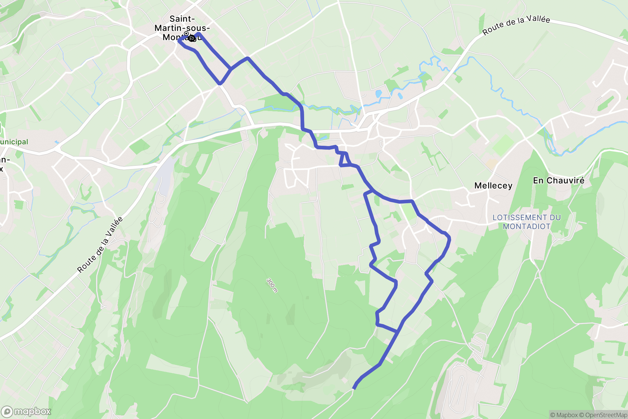 Saint-Martin-sous-Montaigu : carte du parcours de randonnée - France