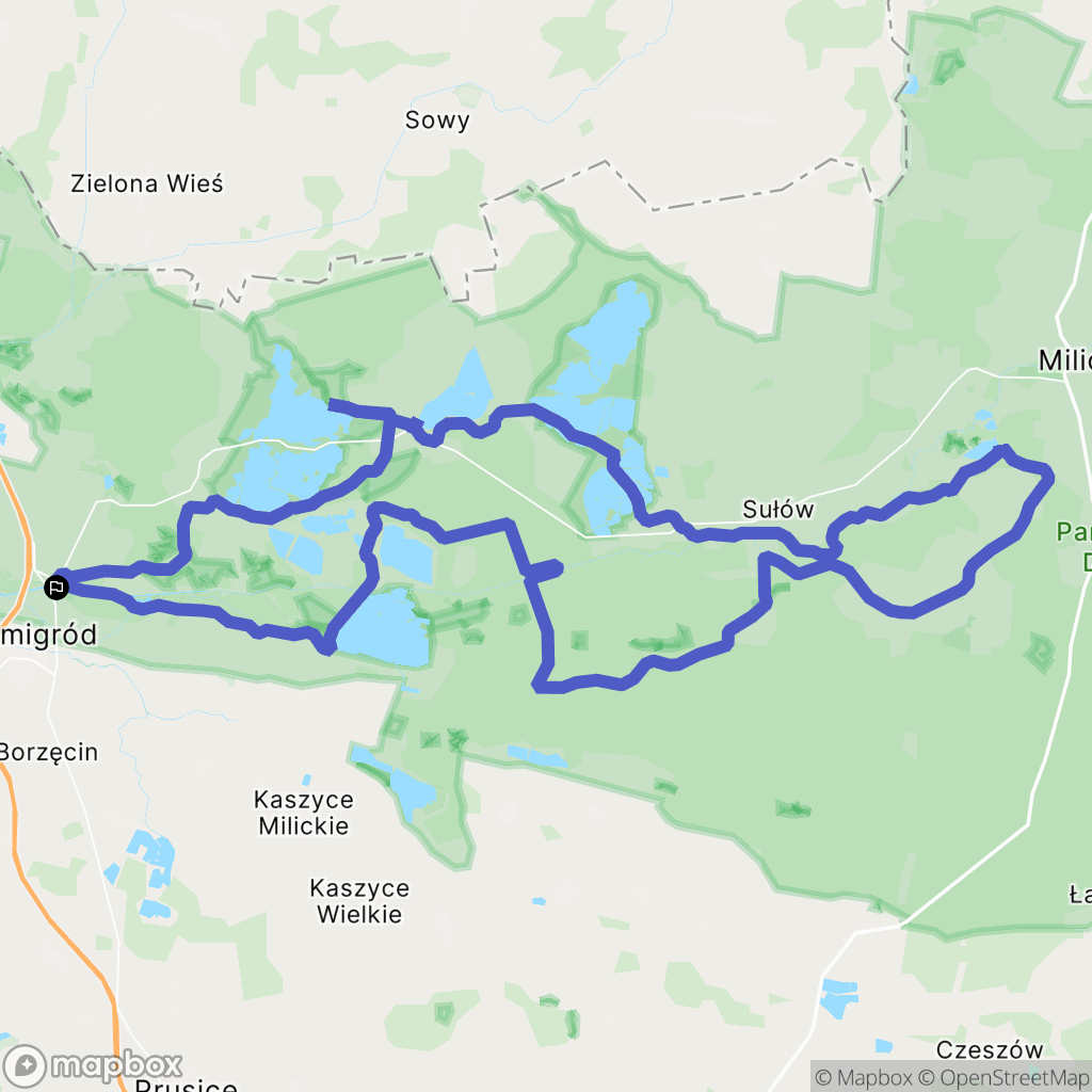 Żmigród: mapa trasy - Poland