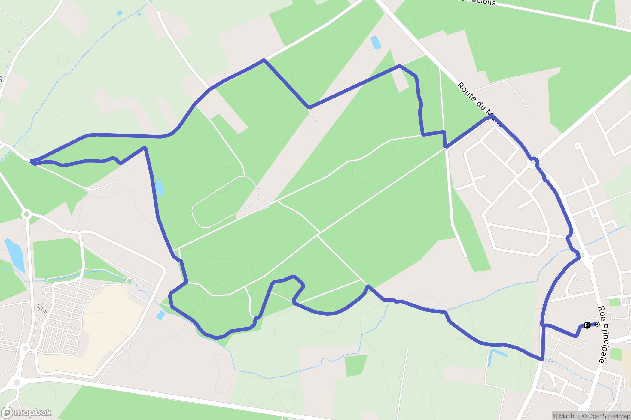 Ruaudin : carte du parcours de randonnée - France